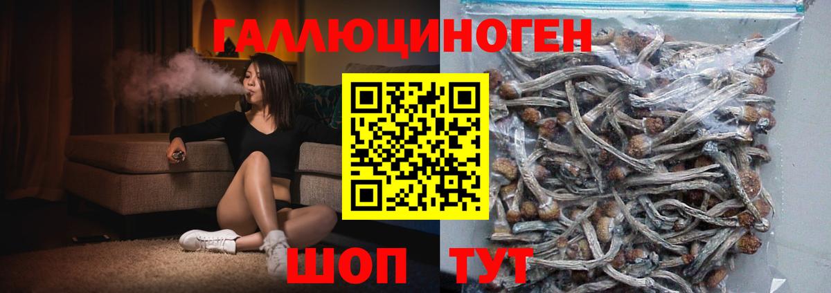 Псилоцибиновые грибы Cubensis Тулун