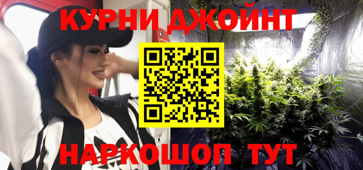 Бошки Шишки MAZAR Тулун